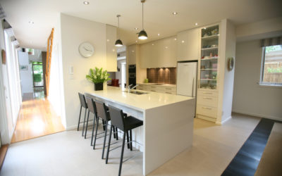 Kitchen renovationprofessional entertainment